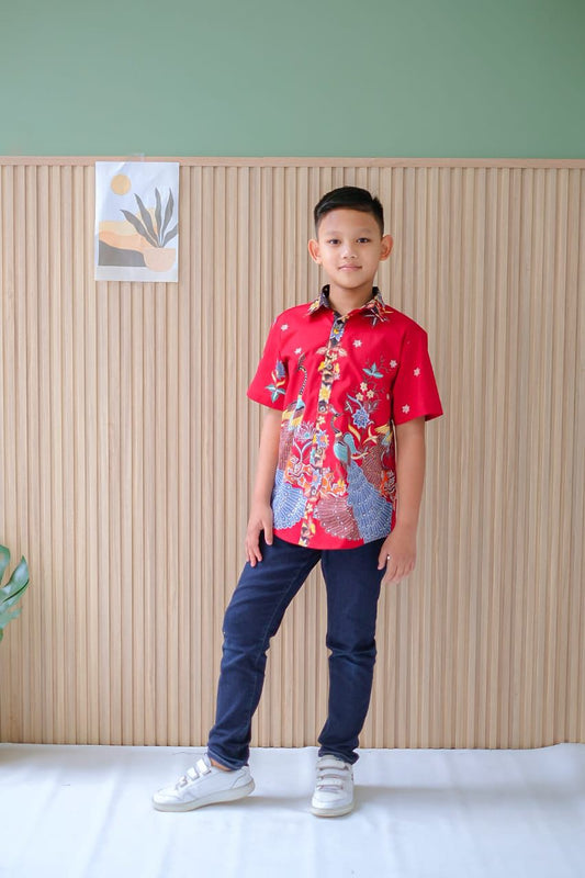 Kid's Batik Shirt - Phoenix Prosperity